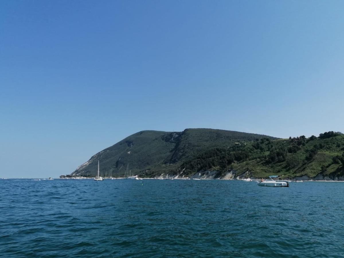 Il Piccolo Uliveto Del Conero Villa คาเมราโน ภายนอก รูปภาพ
